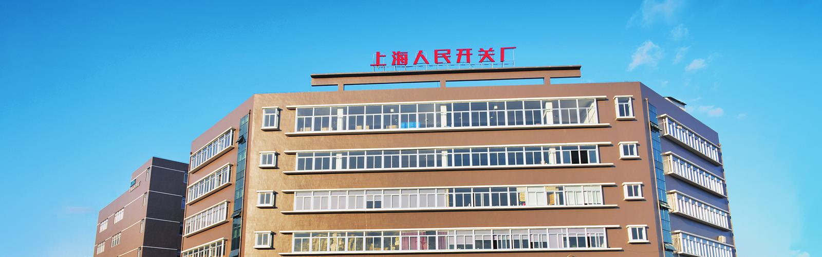 上海人民开关厂与上海信息管理的协同发展路径探析